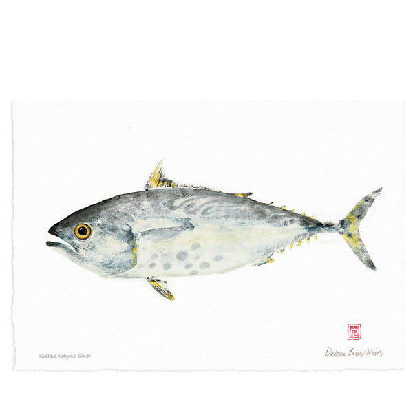 Kawakawa Giclee Fish Print - Hawaii Made