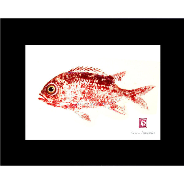ʻalaʻihi Fish Print - Hawaii Made