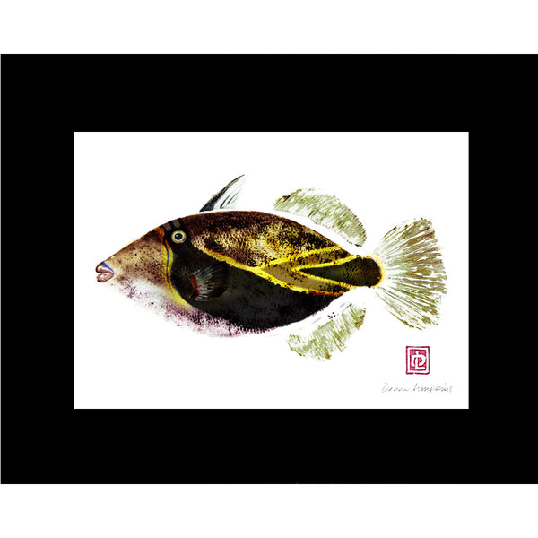 Humuhumu Matted Fish Print - Hawaii Made