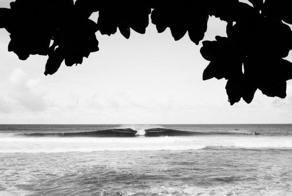 Peek Through Surf Print - Hawaii Made